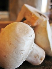 white button mushroom pizza topper