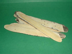 astragalus