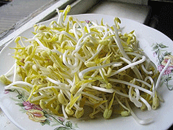 beansprouts