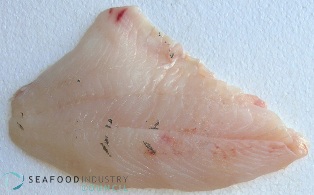 john-dory-fish