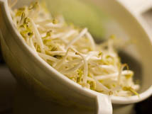 mung bean sprouts image